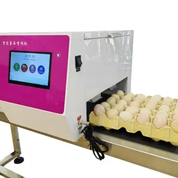 INCODE E66 Six Heads Eggs Inkjet Printer