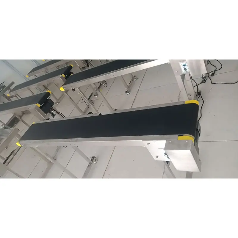 printing conveyor belt